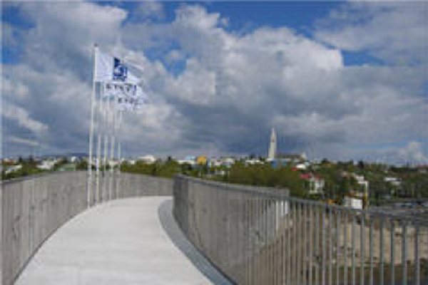 Nesbraut, færsla Hringbrautar